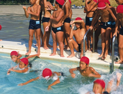 ����̐����C���[�W